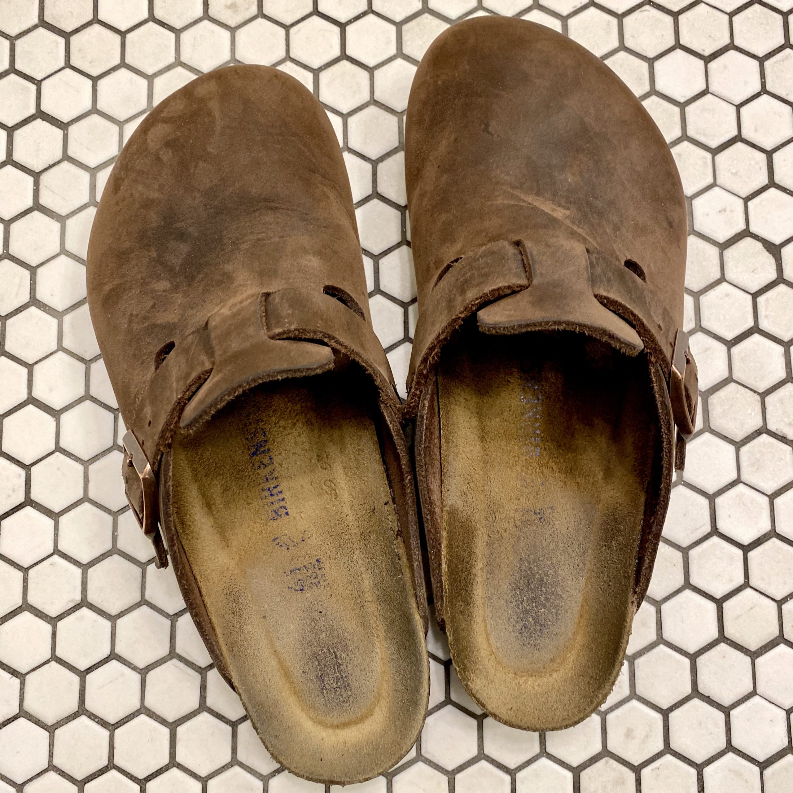 cat shoes noon